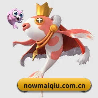 买球 APP（MAIQIU）